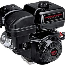 Motor Predator 301cc 8HP