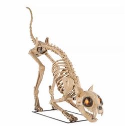 Halloween Home Depot Skellys Cat Prop