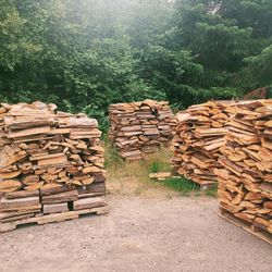 Firewood Dry Sawmill Slab Wood