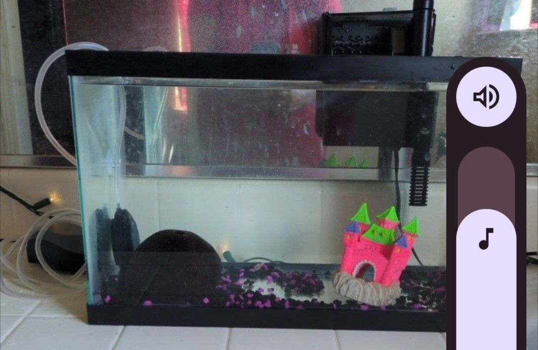 Small aquarium