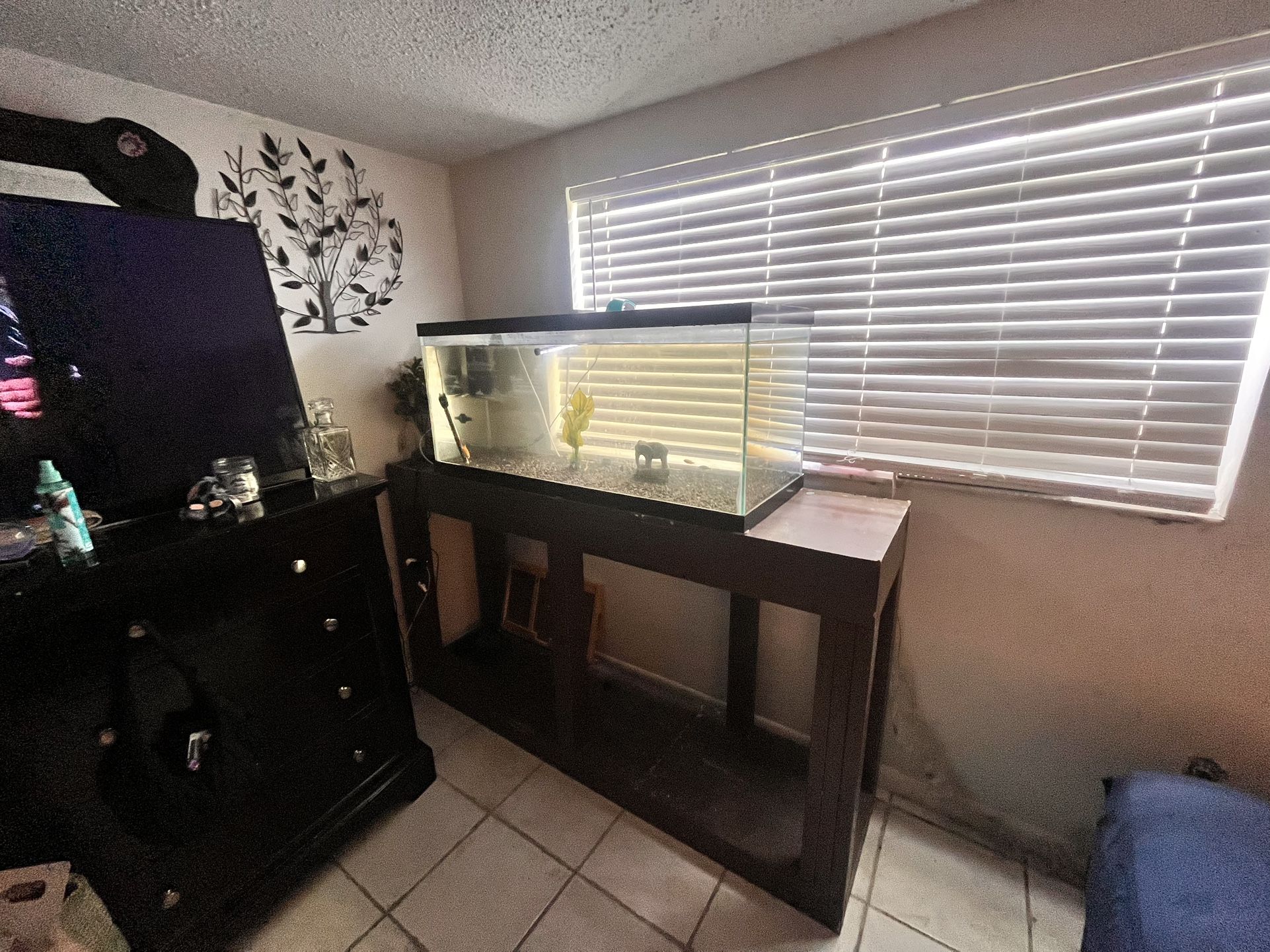 70 Gallon Fish Tank And Stand