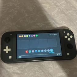 Nintendo Lite