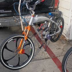 2 Stroke Gas Bike Frame Just Don't Start Everything Is There 