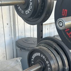Olympic Weight 300 Lbs 