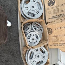 Weights Plates 