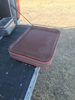 10 comercial food trays