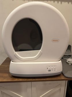 Automatic Cat Litter
