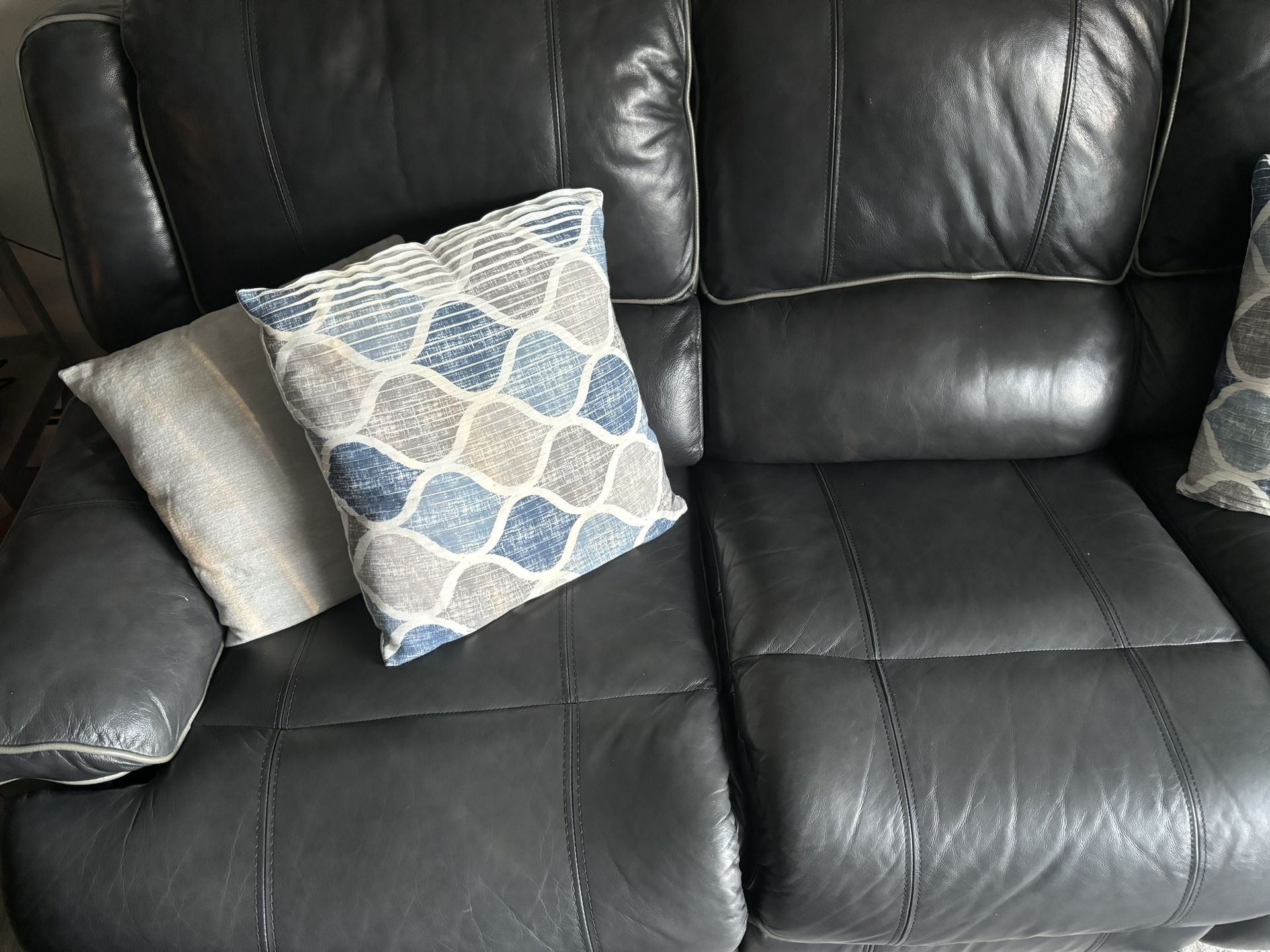 Leather Couches