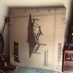Ping Pong/tennis Table