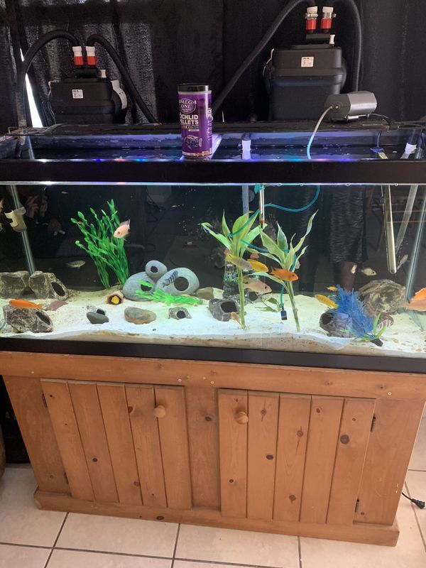 3 big fish tanks for one big tank for Sale in Allentown, PA OfferUp