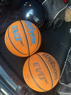 Wilson evo nxt basketball
