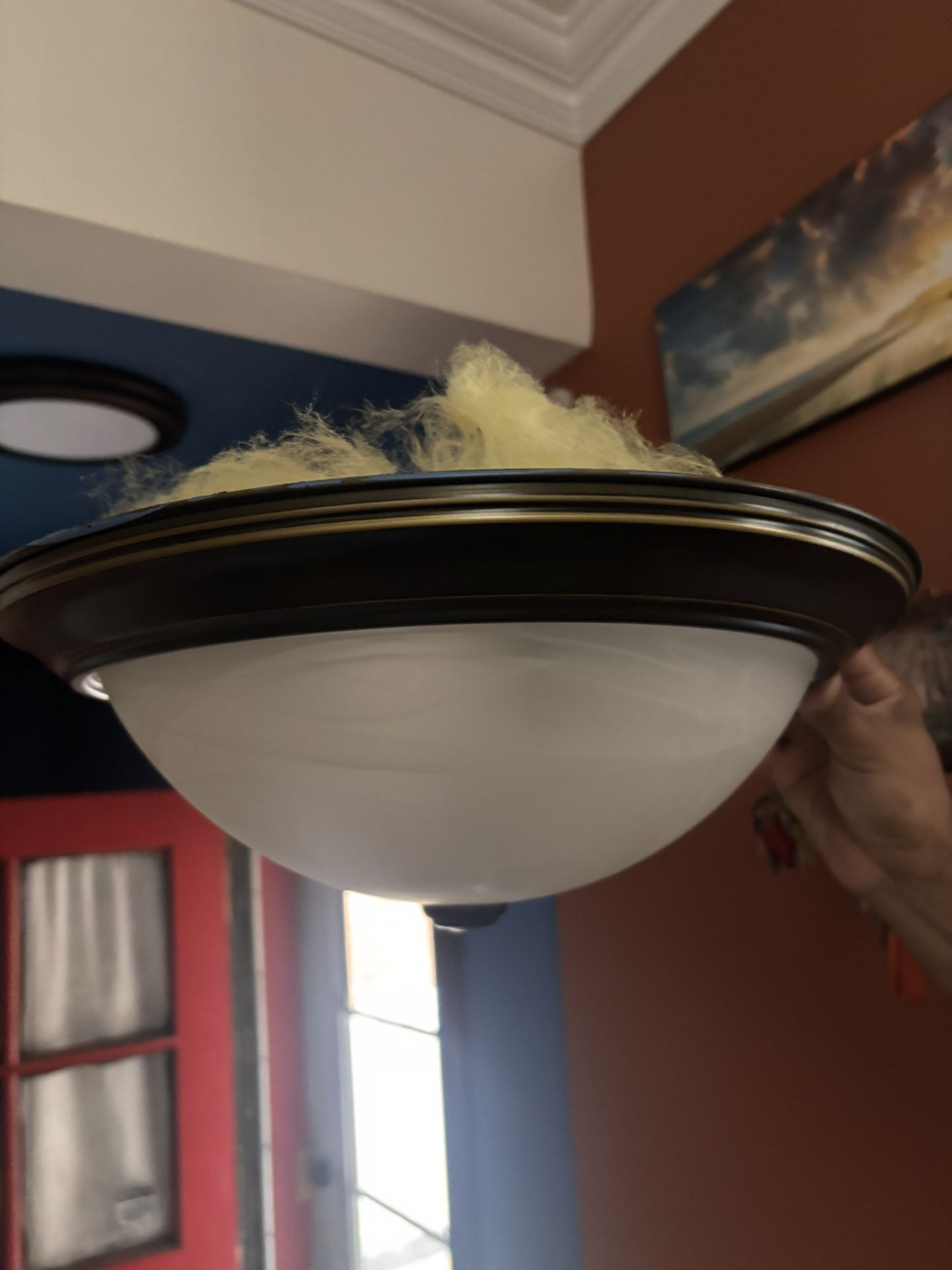 Ceiling Lamp