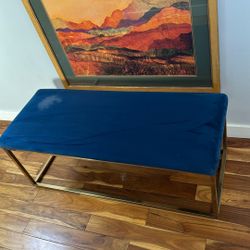 Beautiful Navy Blue Banch 