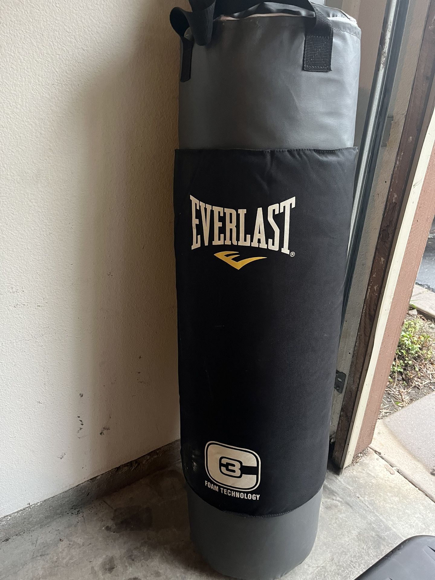 Everlast Punching Bag