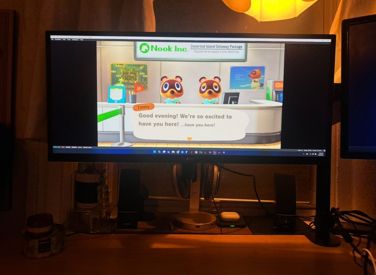 LG 29” Monitor 