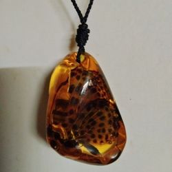 Butterfly In Faux Amber