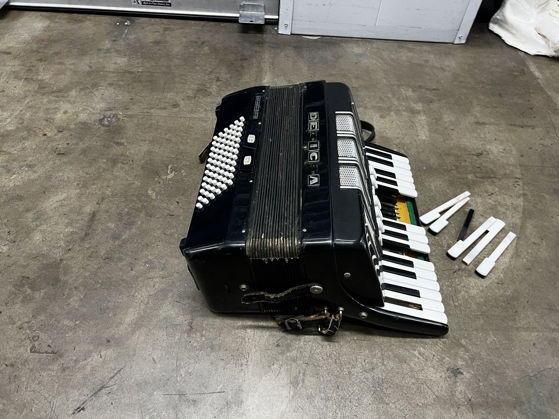Delicia arnaldo accordion Acordeón