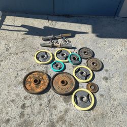 Olympic Weights And Dumbbell Bars 