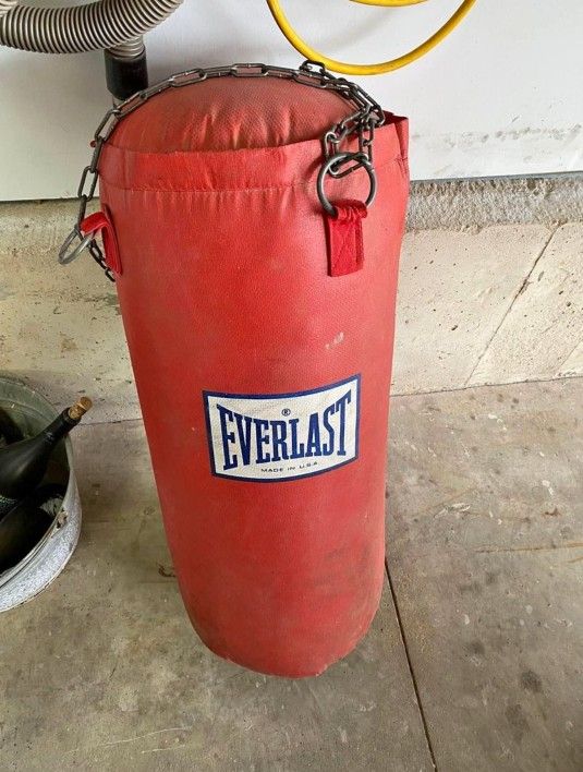 Everlast Punch Bag 