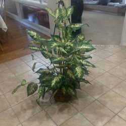 Fake Plant