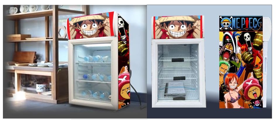 Mini Fridge Display Fridge Custom Wrapped