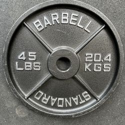 Rogue Steel Olympic 45lb Weight Plates