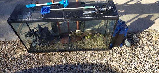55 Gal Aquarium Tank