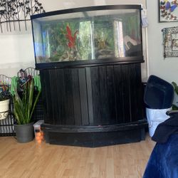 75 Gallon Bow Front Complete Aquarium