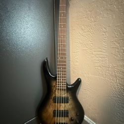 5 string bass guitar