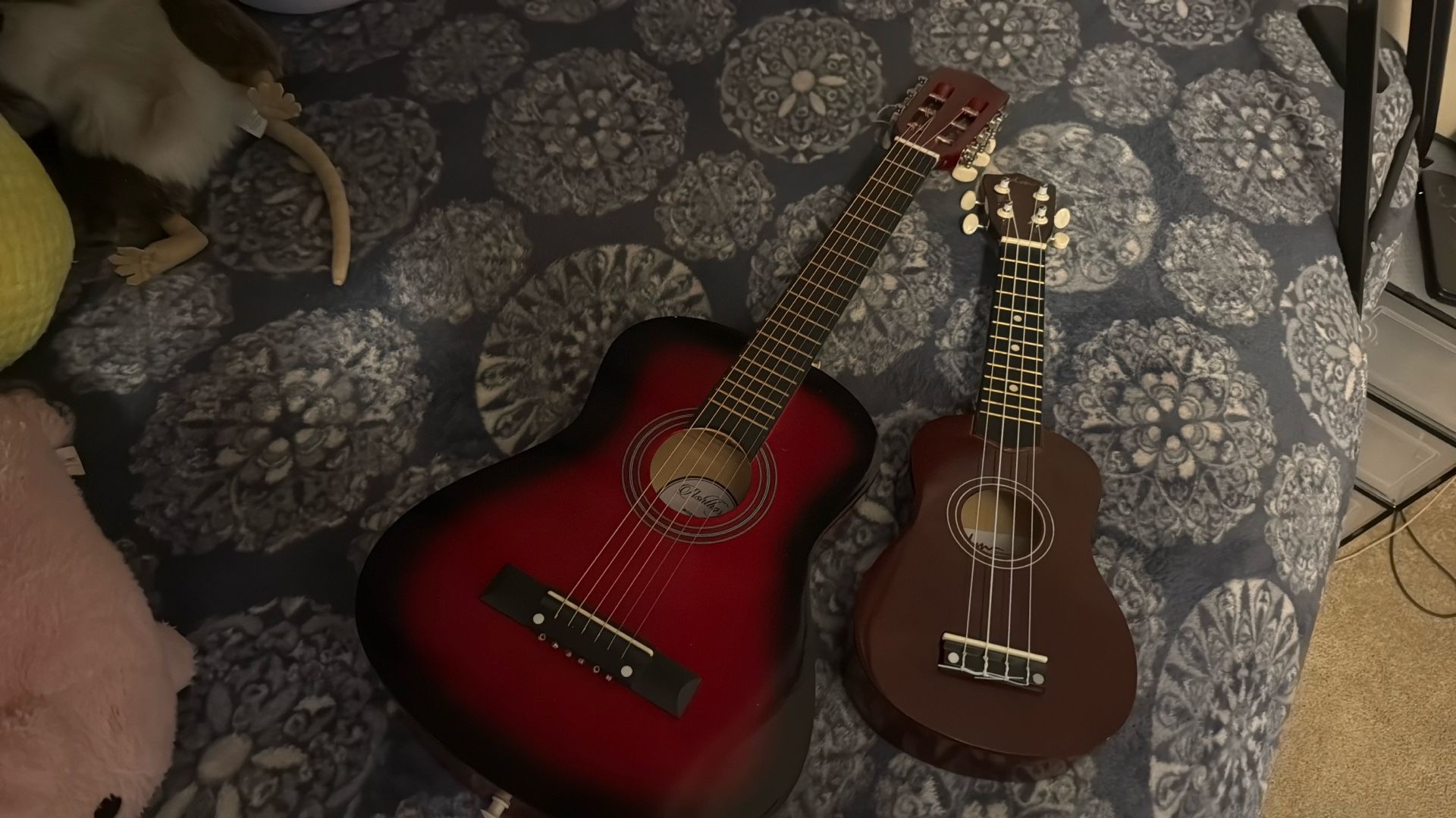 Nuevos