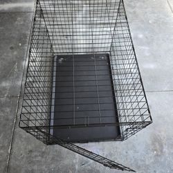 Dog Cage
