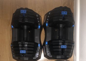 NordicTrack Adjustable Dumbells 50lbs