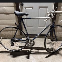 Raleigh Mercury Bike 