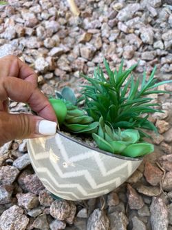 FAKE JADE PLANT +FREE POT