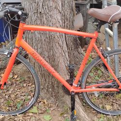 Gravity Avenue Fx Road Bike