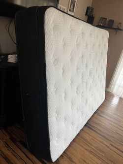 Ortho Pedimos. $$$100$$$