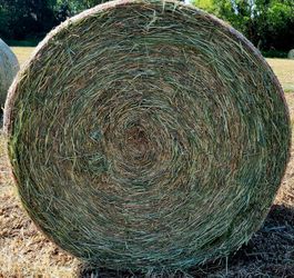 2026 4x5 timothy round bales