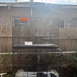 Used bird cage