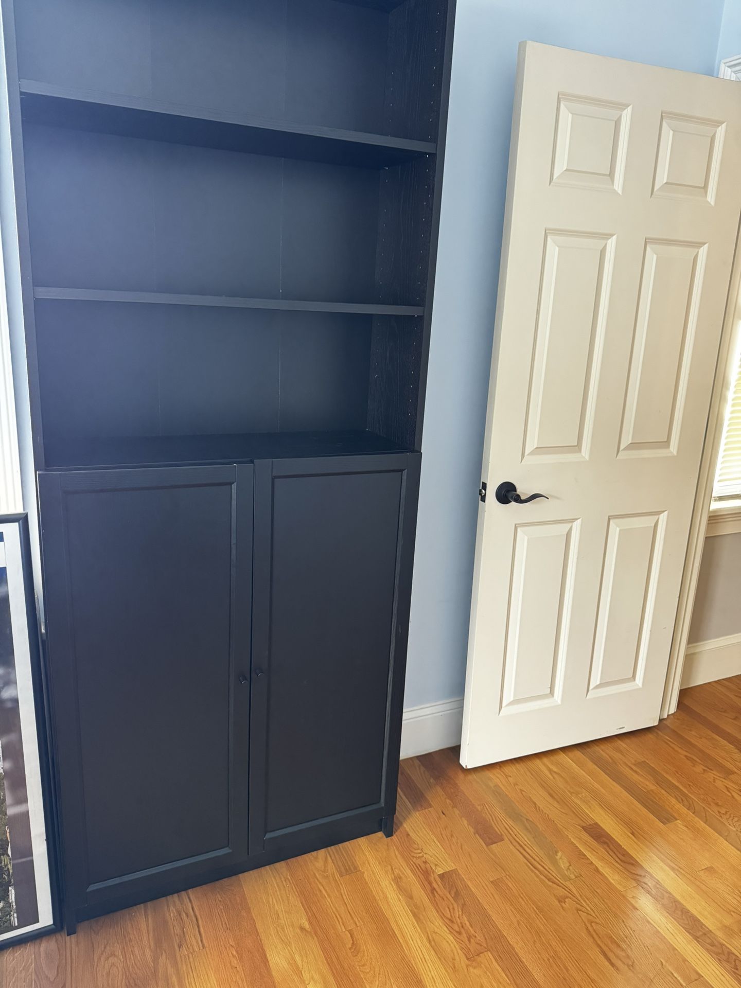 IKEA Billy Bookcase With Oxberg Doors