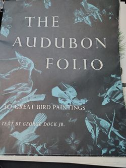 Huge Photo Bird Book