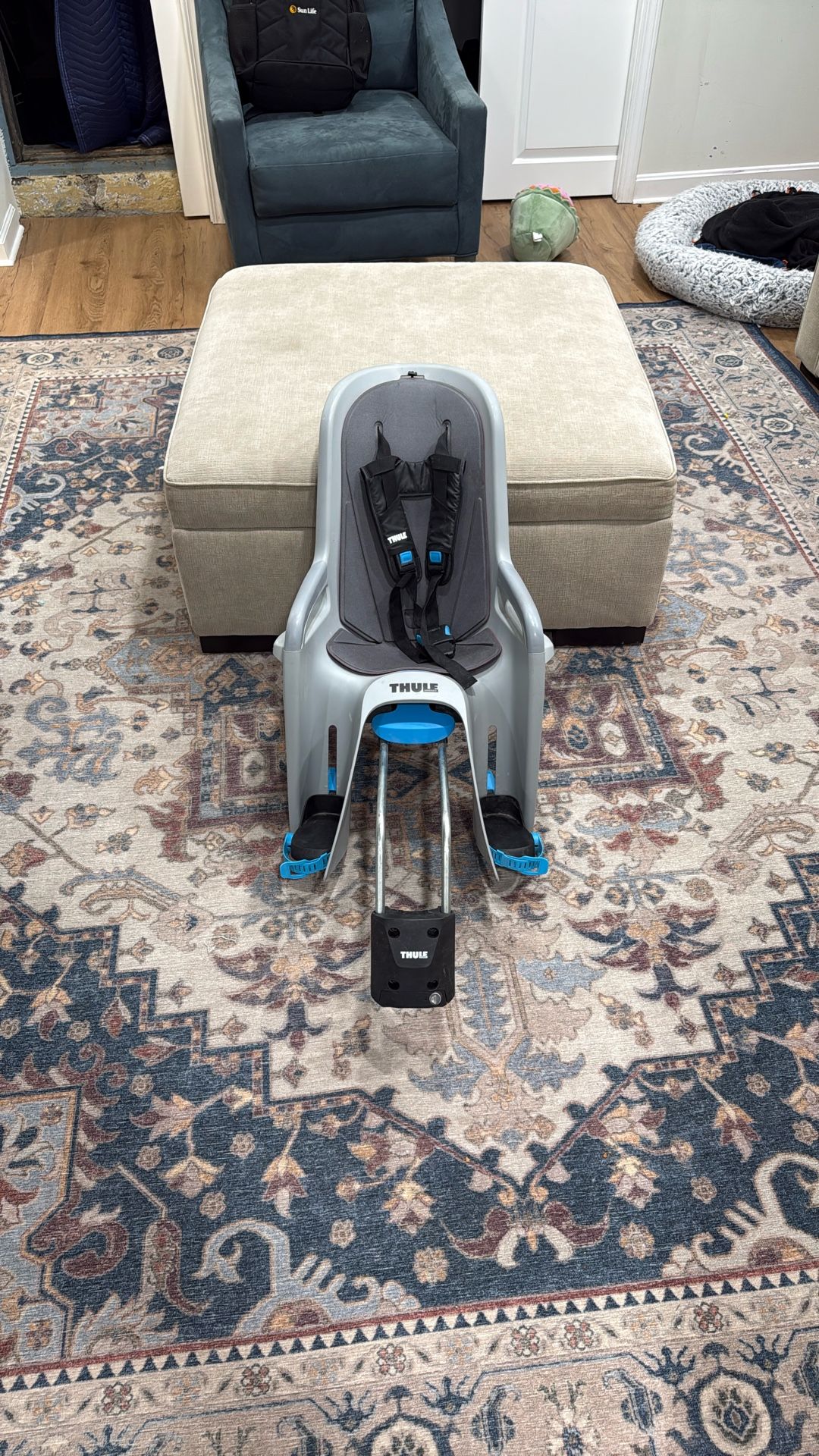 Thule RideAlong Rear Child Bike Seat