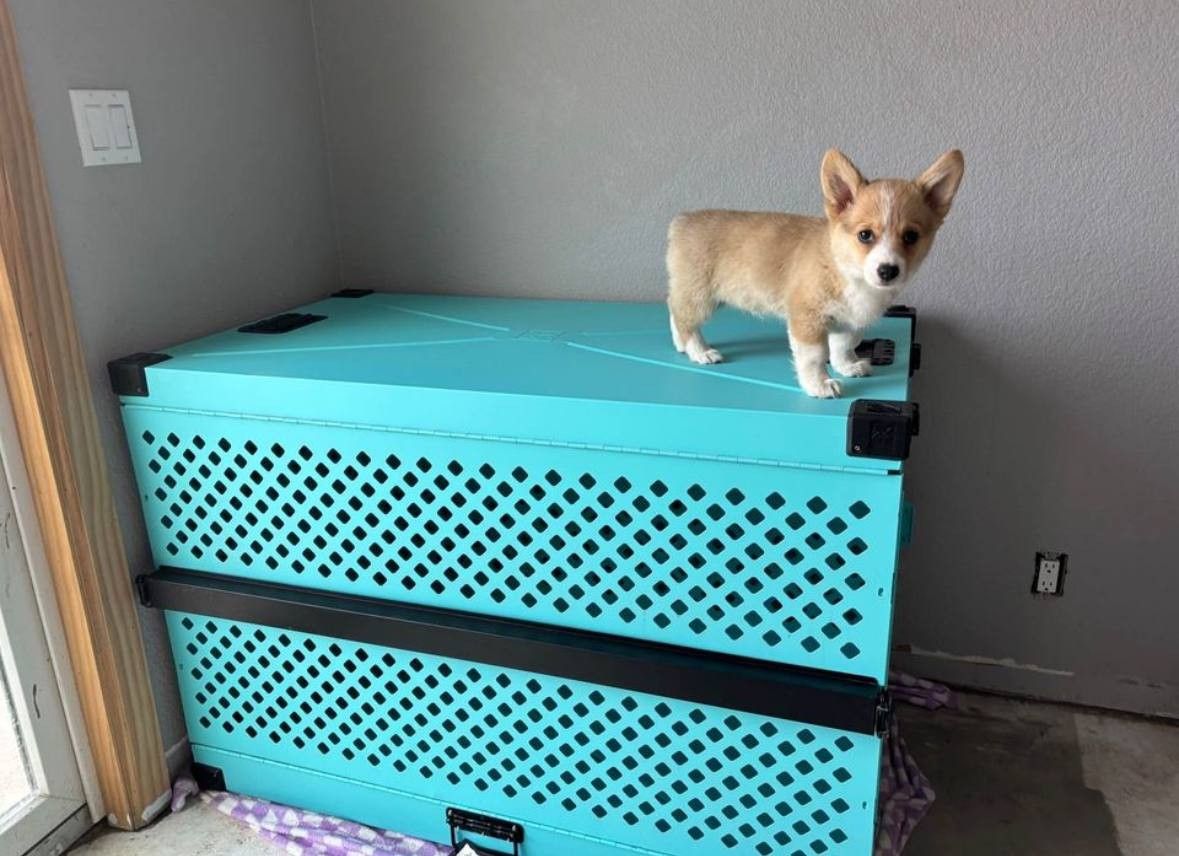 Dog Impact Crate