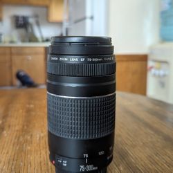 Canon EF 75-300mm f/4-5.6 III