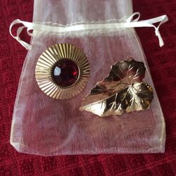 Scarf clips