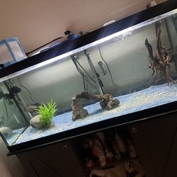 Fish Tank W/ 2 Fishes