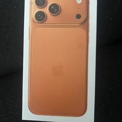 Orange Apple iPhone Pro Max