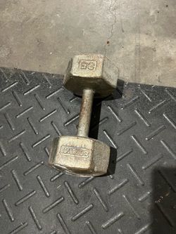 Dumbbell weights 35lb