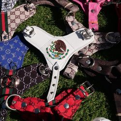 Harness Collars For Dogs