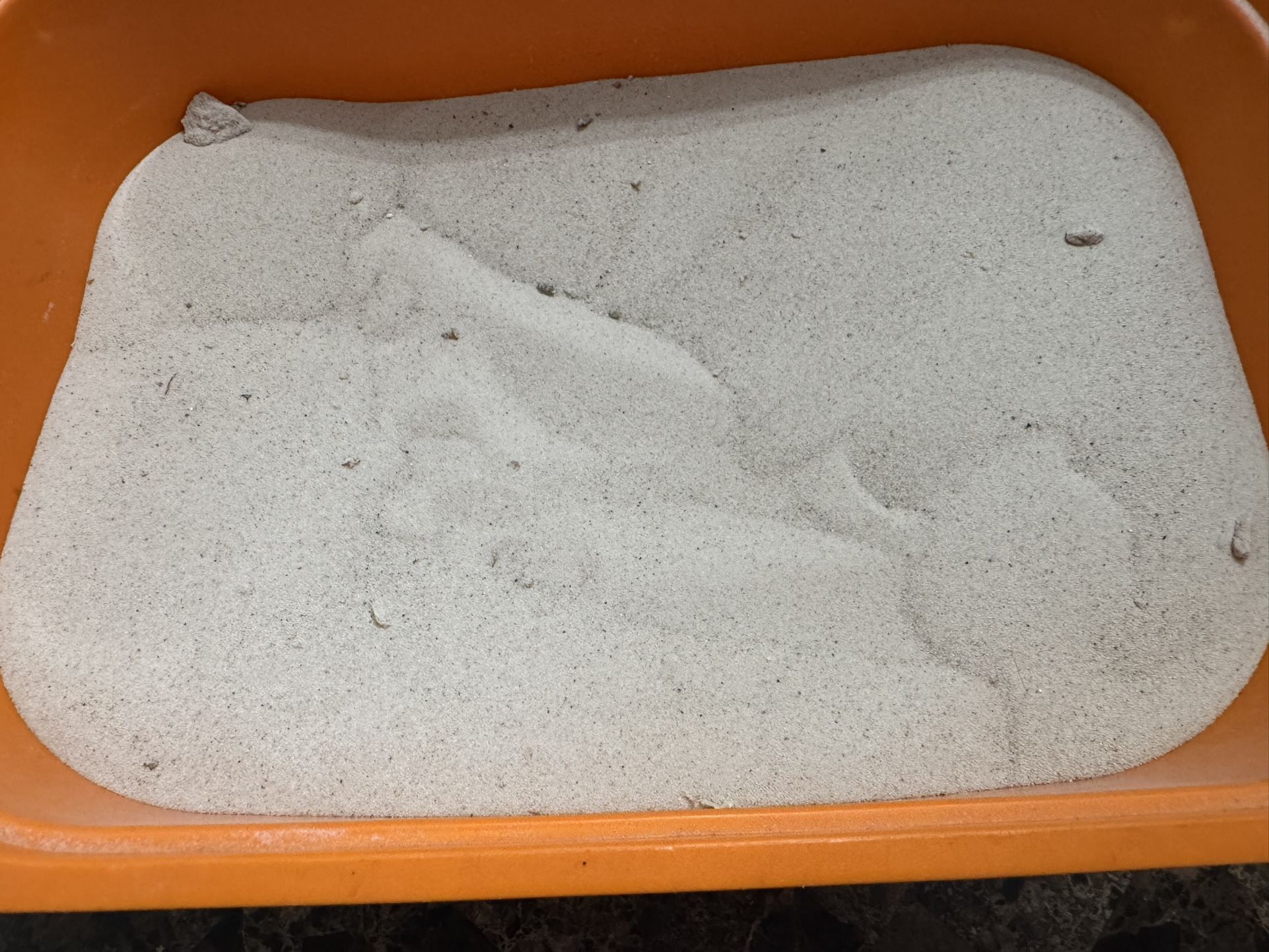 50lbs Reptile sand