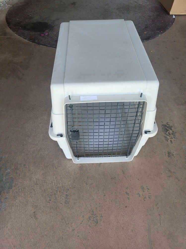 Kennel